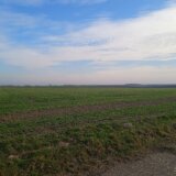 Objavljen poziv za podsticaje za premiju osiguranja u poljoprivredi 8