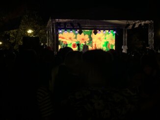 Prajd koncert u parku Manjež: "Demonstracije i slavlje" (FOTO) 2