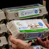 Samo dva jaja veličine L zadovoljavaju dnevnu potrebu organizma za selenom 9