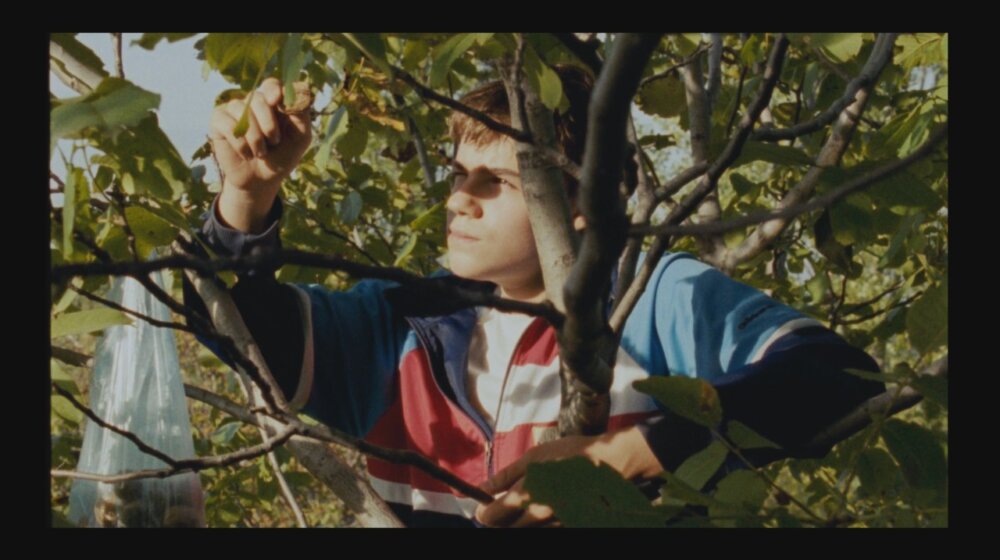 Oskar u našem tamnom vilajetu, iliti, koga je u ovoj muljavini uopšte briga za interese srpske kinematografije 1