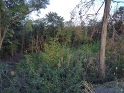 Čibukova krivina - simbol borbe protiv litijuma: Godinu dana protesta u Levču 8