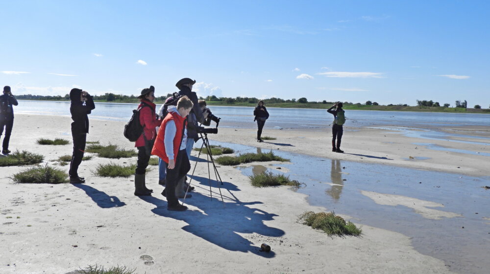 Vikend će u Srbiji biti posvećen pticama 1