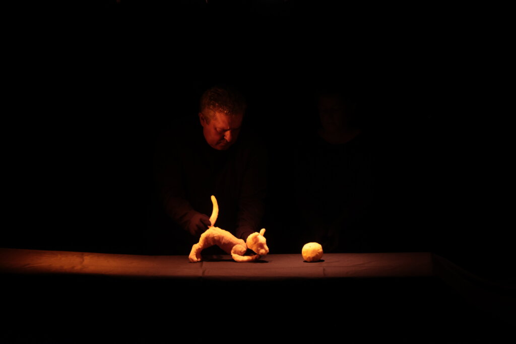 Peti dan Međunarodnog festivala pozorišta za decu Subotica u znaku predstava iz Kine, Portugalije i BiH 3 Peti dan Međunarodnog festivala pozorišta za decu Subotica u znaku predstava iz Kine, Portugalije i BiH 3