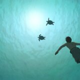 Za početak „Crvena kornjača“ : Oskarovac Mikael Dudok de Vit gost na 20. jubilarnoj Balkanimi 3