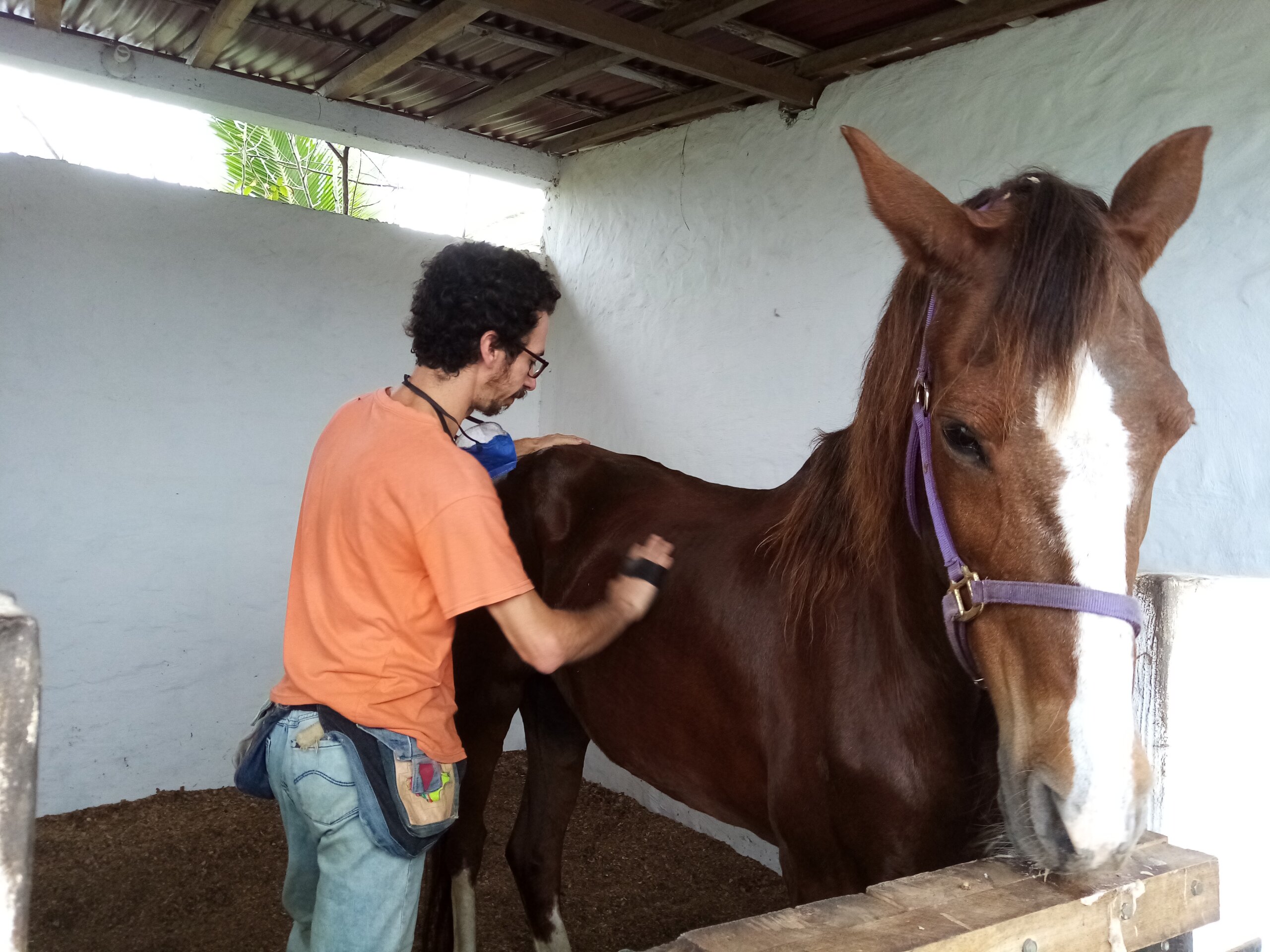 Ovaj moderni, kapitalistički svet je iscrpljujući: Arsen ga je 2017. napustio i krenuo na putovanje dugo pet godina 5
