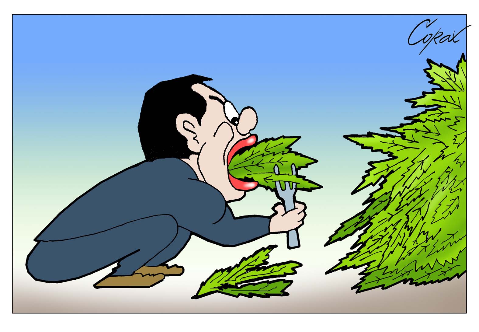 Corax 4