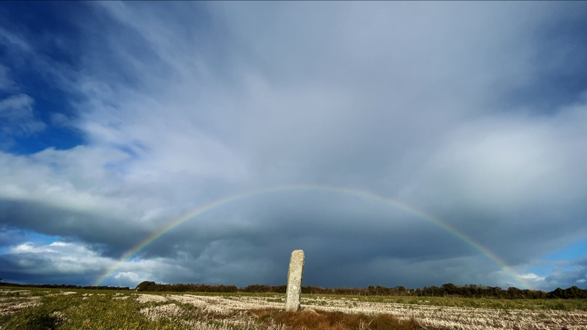 Sedam iznenađujućih, veličanstvenih i fascinantnih dokumentaraca, koji nas svojim pričama oduševljavaju i uznemiruju 3