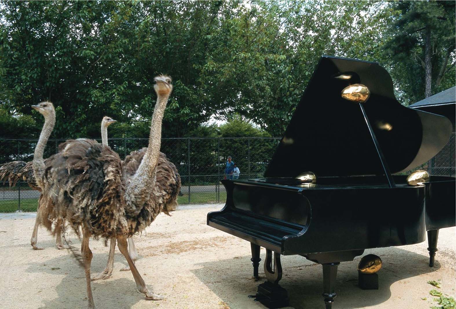 INTERVJU Braco Dimitrijević : „Ovo bi moglo biti mjesto od istorijskog značaja“ 6