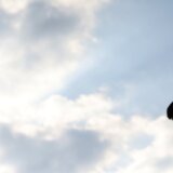 "Kod nas su kladionice na svakom ćošku, kao nekad pekare": Novakove reči koje mediji ne smeju da prenesu 1