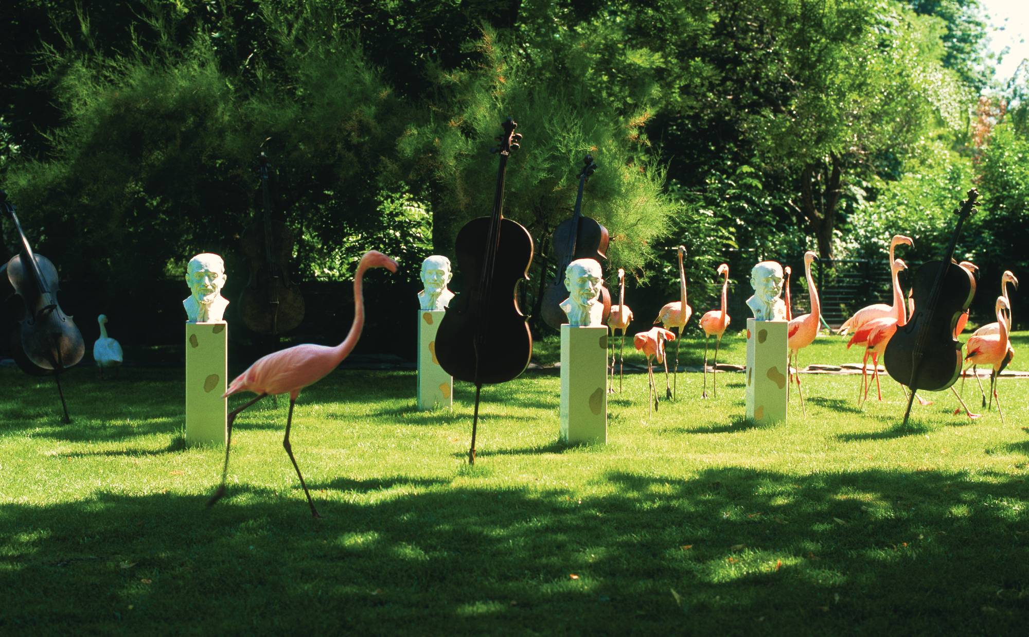 INTERVJU Braco Dimitrijević : „Ovo bi moglo biti mjesto od istorijskog značaja“ 5