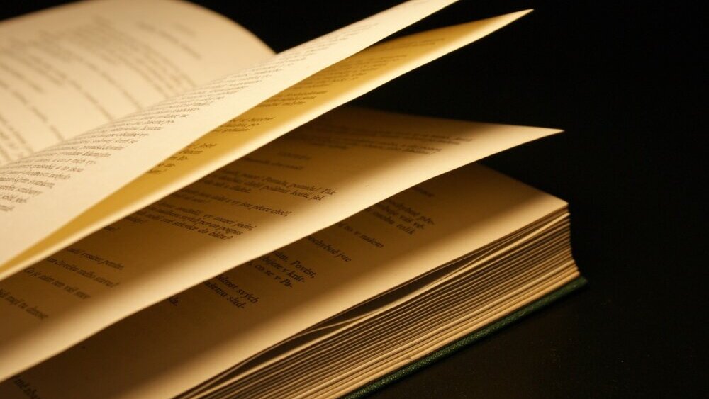 Poezija se gnuša svega što je površno: Pesnikinja Radojka Plavšić povodom zbirke "Potomkinje" 2