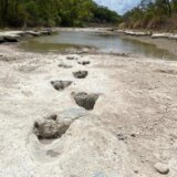 Naučnici potvrdili da fosilizovani otisci stopala na severozapadu Kine potiču od teropoda 10