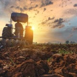 U Zrenjaninu raspisan oglas za zakup i korišćenje poljoprivrednog zemljišta u državnoj svojini 4