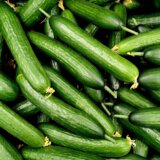 Sprečen izvoz krastavaca iz Srbije namenjenih tržištu Slovenije (FOTO) 5