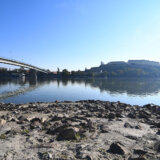 Hodao po ogradi mosta u Novom Sadu, pao u Dunav i nestao 1