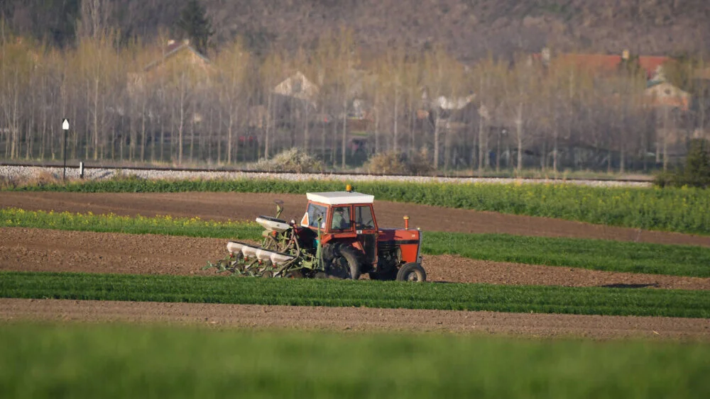 Poljoprivreda beleži pad izvoza ove godine: Slabom rezultatu doprinele niske subvencije i stabilan dinar 2