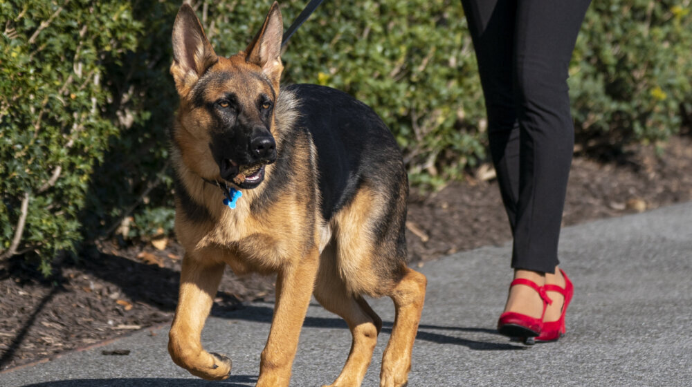 "Komandant" sklonjen iz Bele kuće posle niza incidenata 1