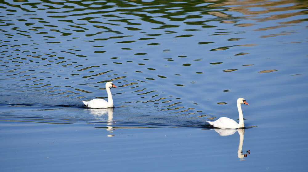 Srbija opredelila 500 miliona dinara za upravljanje zaštićenim prirodnim dobrima od nacionalnog značaja 1