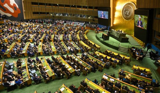 Zašto je odloženo glasanje o Rezoluciji o genocidu u Srebrenici u Generalnoj skupštini UN ? 11