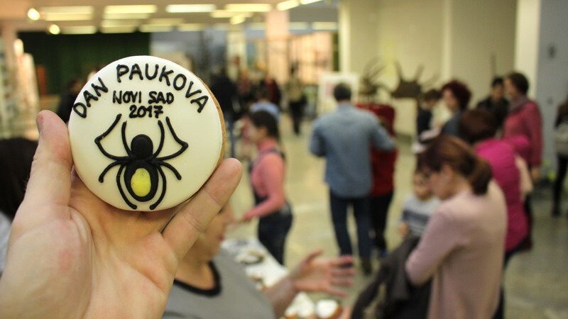 Sve o paukovima i iracionalnom strahu: Kako su ove neverovatne životinje dospele na zao glas? 4 Sve o paukovima i iracionalnom strahu: Kako su ove neverovatne životinje dospele na zao glas? 4