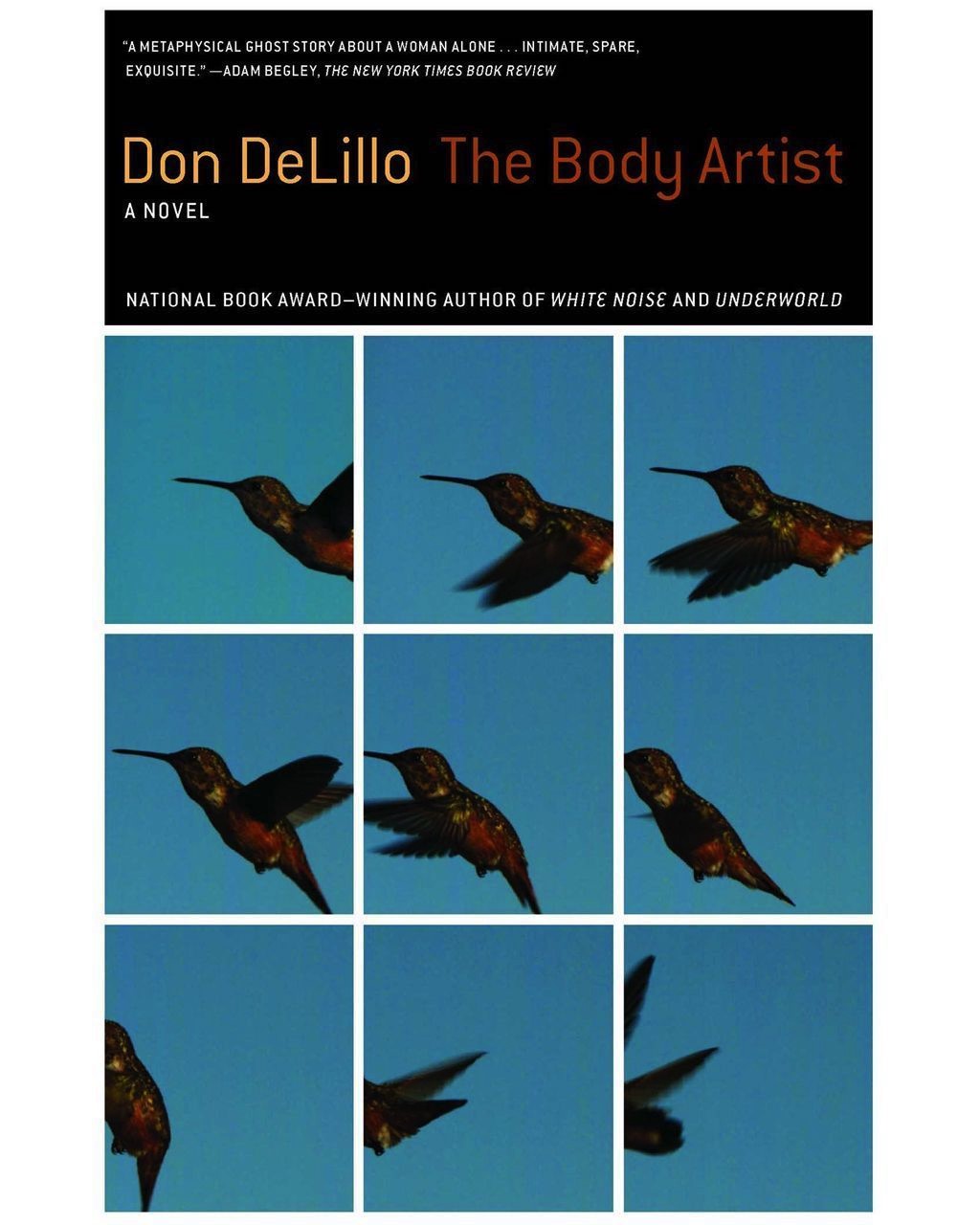 Književnost: Zbog čega je Don DeLilo najveći živi američki pisac 7 omot za knjigu delilo