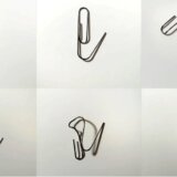 Zdravlje: Zašto je dobro kad imamo pundravce 11