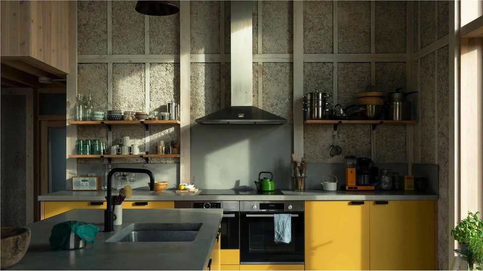 Održivost i životna sredina: Kuće od konoplje - upijaju ugljenik i poboljšavaju energetsku efikasnost 4 kuća od kanabisa