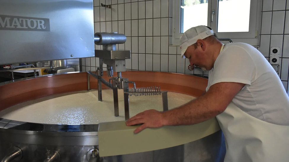 Mala bela skuta se formirala u ogromnoj bakarnoj bačvi