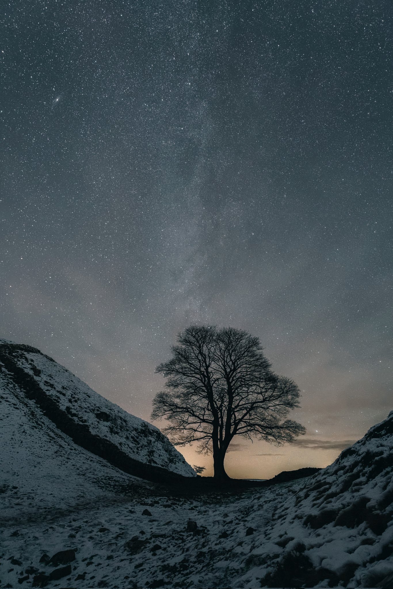 Velika Britanija: Čuveno drvo posečeno na Hadrijanovom zidu moglo bi da preživi 3 The Sycamore Gap tree without leaves with snow lying on the ground and stars in the sky