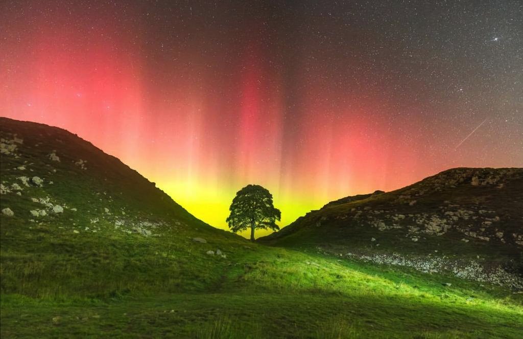 Velika Britanija: Čuveno drvo posečeno na Hadrijanovom zidu moglo bi da preživi 1 The Sycamore Gap tree illuminated by the Northern Lights growing in the valley between two hills
