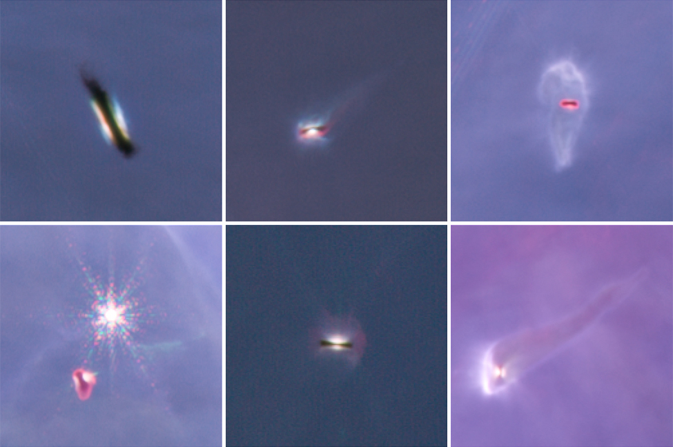 Svemirska istraživanja: Teleskop Džejms Veb otkrio objekte nalik planetama koji slobodno lebde u Orionu 2 Planetary discs