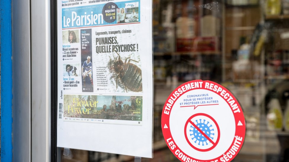 Francuska: Stenice pronađene i u školi, vlada organizuje sastanak usled panike zbog insekata 3 Stenice na naslovnim stranama