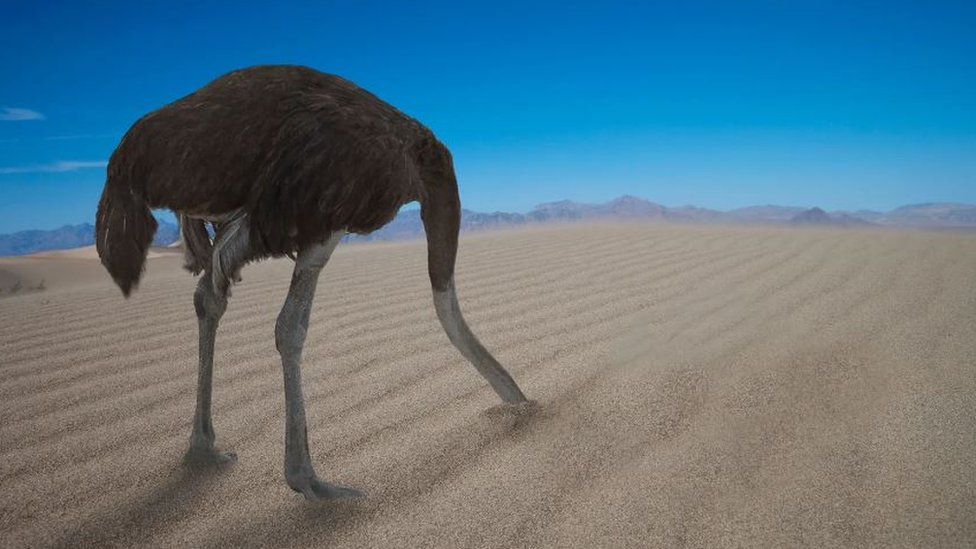 Psihologija: Kako učimo iz sopstvenih neuspeha 3 ,,Efekat noja"