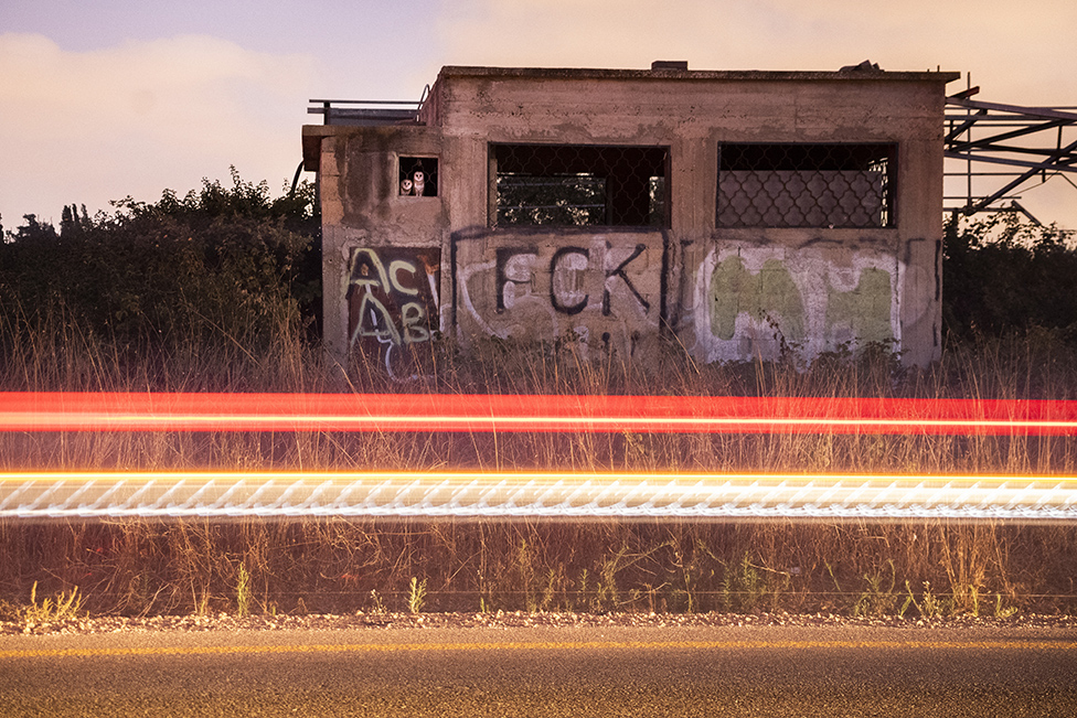Kraba ili mitsko biće: Najbolje fotografije životinja 2 Barn owls in a derelict building