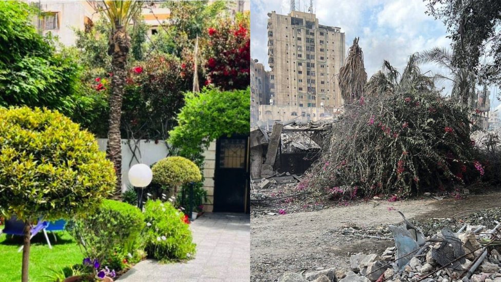 Dinina bašta pre i posle izraelskih vazdušnih napada