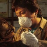 Nauka: Kako DNK drevnih bakterija i virusa može da koristi današnjoj medicini 4