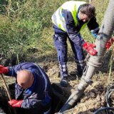 Estradni umetnici, starlete i botovi SNS zaposleni u tri beogradska komunalna preduzeća, tvrdi stranka SRCE 8