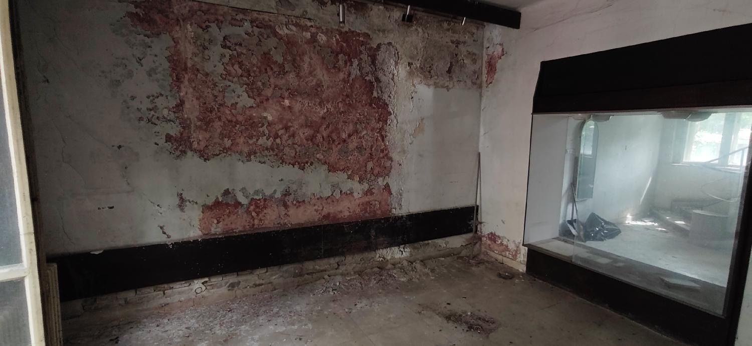 SSP o ruiniranom stanju Muzeja Nadežde Petrović: Izgleda da je u Beogradu moguće da se renovira sve osim muzeja posvećenog velikanima srpske kulture 20. veka 1