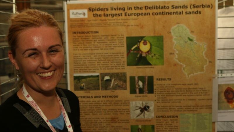 Sve o paukovima i iracionalnom strahu: Kako su ove neverovatne životinje dospele na zao glas? 3 Sve o paukovima i iracionalnom strahu: Kako su ove neverovatne životinje dospele na zao glas? 3