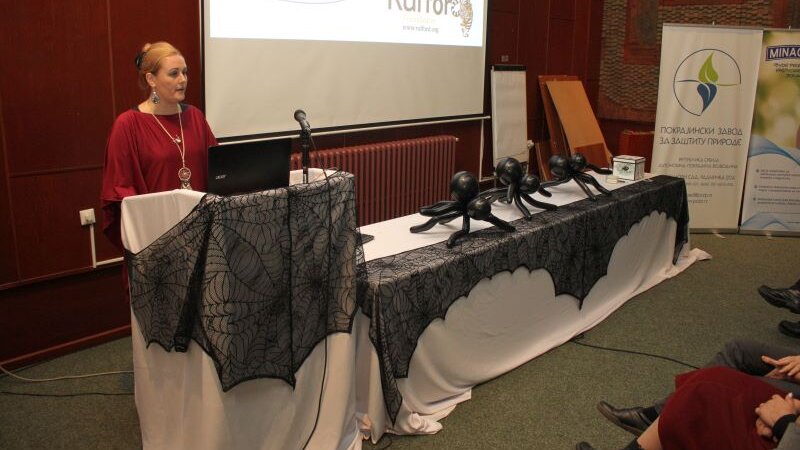 Sve o paukovima i iracionalnom strahu: Kako su ove neverovatne životinje dospele na zao glas? 5 Sve o paukovima i iracionalnom strahu: Kako su ove neverovatne životinje dospele na zao glas? 5