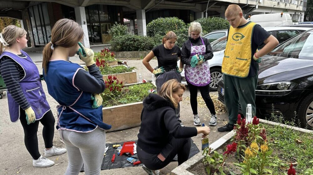 Subotičanka iz Njujorka inicirala akciju uređivanja betonskih žardinjera u centru grada 1