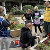 Subotičanka iz Njujorka inicirala akciju uređivanja betonskih žardinjera u centru grada 9