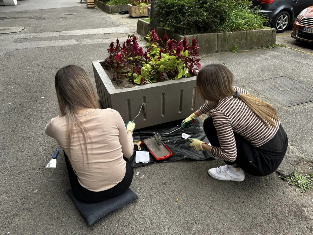 Subotičanka iz Njujorka inicirala akciju uređivanja betonskih žardinjera u centru grada 3