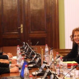 Orlić sa predstavnicima Saveta Evrope: Imamo više slobode i demokratije nego ikada pre 6