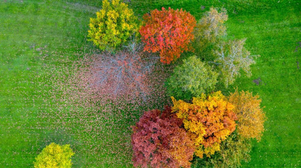 Malo umetničko delo: Jesen iz ptičje perspektive u 2.000 godina starom evropskom gradu (FOTO) 1