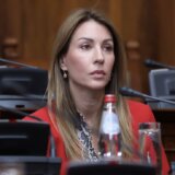 Đedović Handanović: Rudna renta u Srbiji među višim u svetu 10