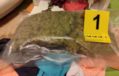 Žena iz okoline Jagodine uhapšena sa 3,5 kilograma marihuane 2