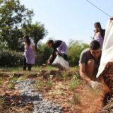 Deset gradova Srbije dobilo kišne bašte u okviru projekta „Niklo kao ja“ 2