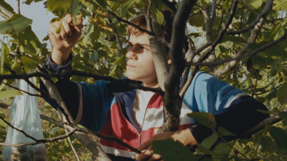 Rasprodata premijera nagrađivanog filma "Lost Country" Vladimira Perišića koja otvara 29. Festival autorskog filma, zakazana još jedna projekcija 1