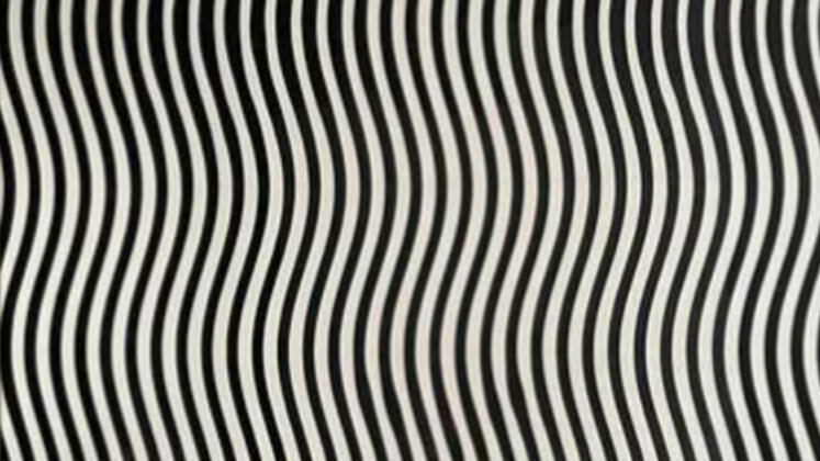 Optička iluzija koja je srušila internet: Samo osobe s visokim IQ-om videće šta je na ilustraciji 1